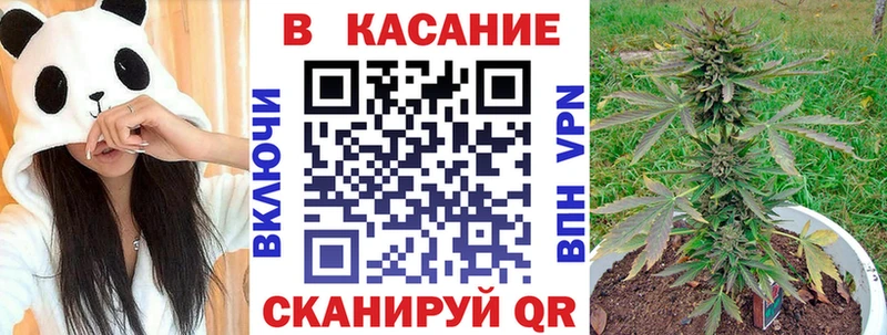 Цена Кизел A PVP COCAIN Меф мяу мяу Канабис Гашиш