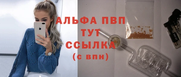 эйфоретик Арсеньев
