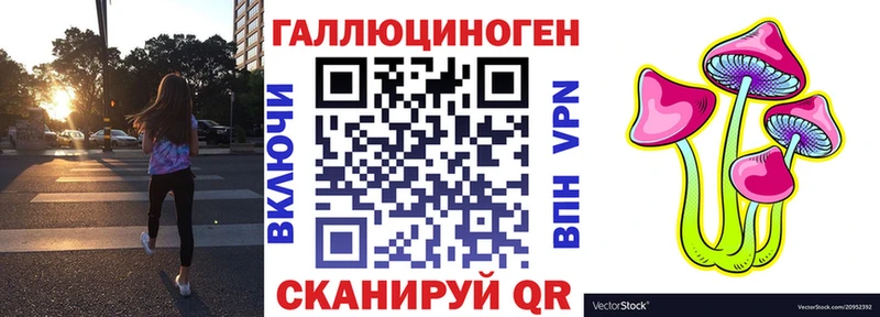 магазин продажи наркотиков  Кизел  кракен ссылки  даркнет состав  Галлюциногенные грибы Psilocybe 